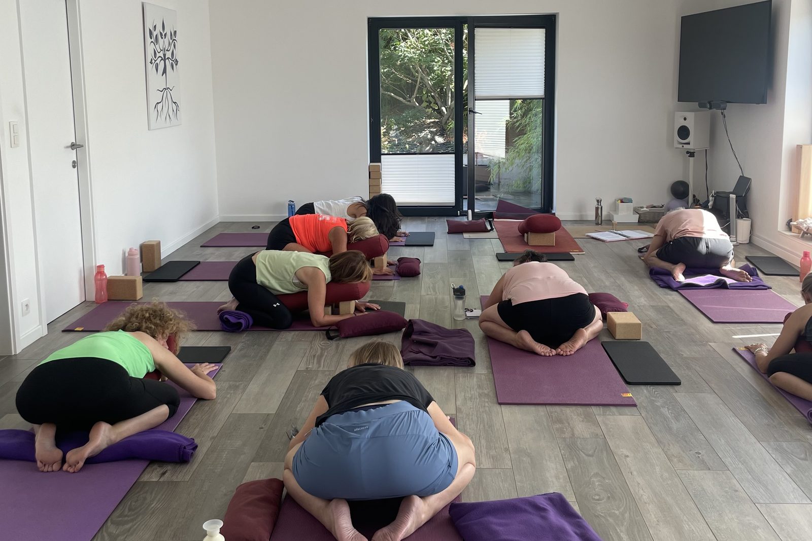 Un cours de yoga à Beersel, les participants en posture de l’enfant sur leur tapis, l’arbre d’Aroma au mur
